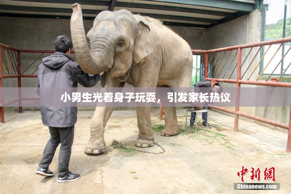 小男生光着身子玩耍，引发家长热议