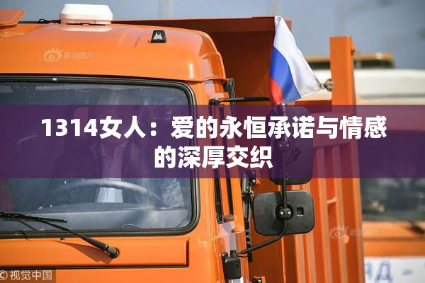 1314女人：爱的永恒承诺与情感的深厚交织