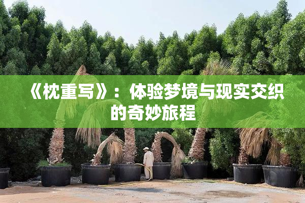 《枕重写》：体验梦境与现实交织的奇妙旅程