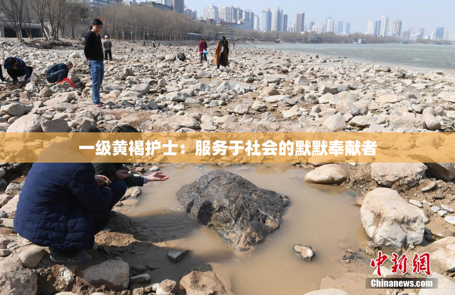 一级黄褐护士：服务于社会的默默奉献者