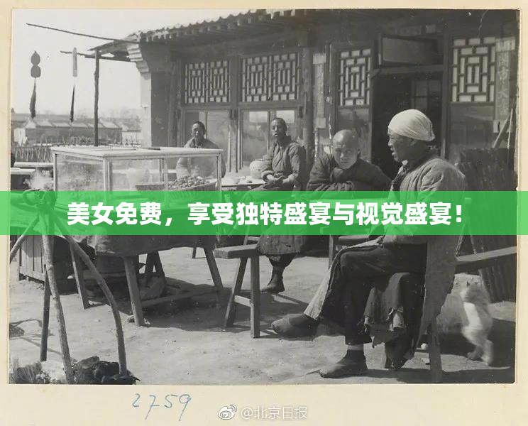 美女免费，享受独特盛宴与视觉盛宴！