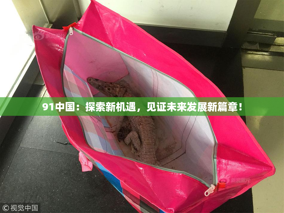91中国：探索新机遇，见证未来发展新篇章！