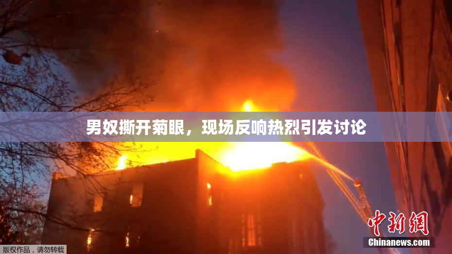 男奴撕开菊眼，现场反响热烈引发讨论