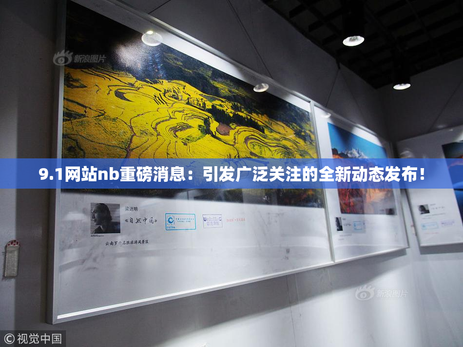 9.1网站nb重磅消息：引发广泛关注的全新动态发布！