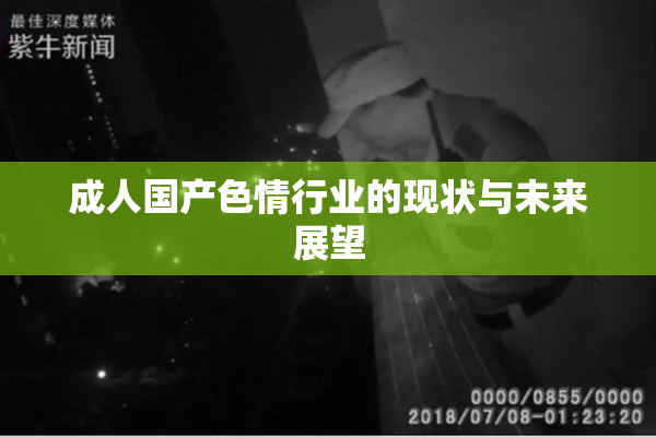 成人国产色情行业的现状与未来展望