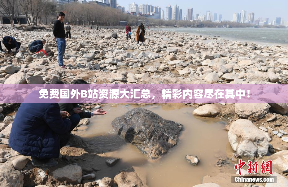 免费国外B站资源大汇总，精彩内容尽在其中！