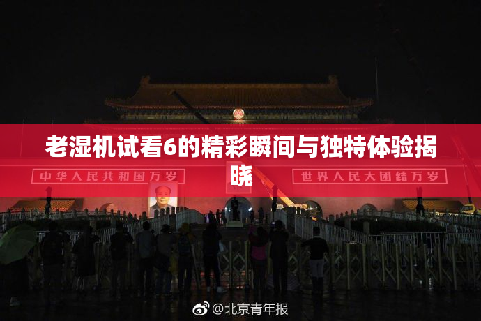 老湿机试看6的精彩瞬间与独特体验揭晓