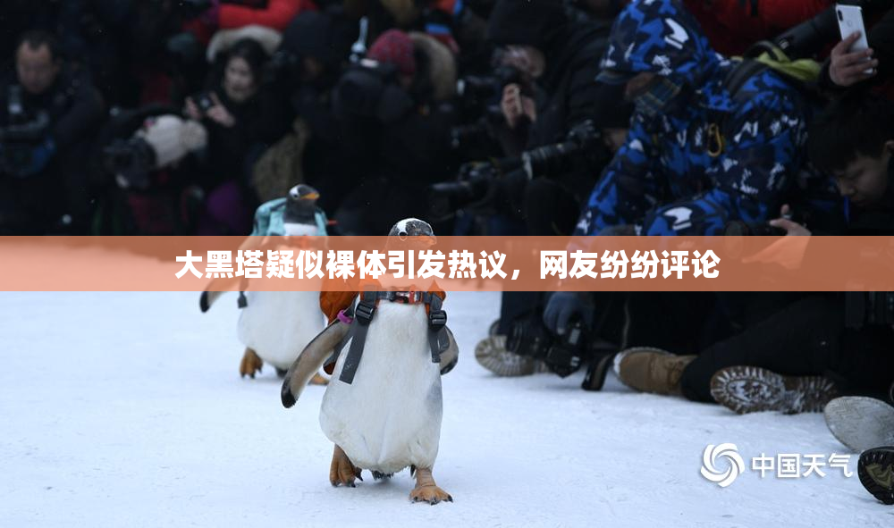 大黑塔疑似裸体引发热议，网友纷纷评论