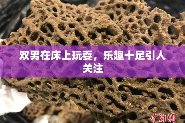 双男在床上玩耍，乐趣十足引人关注