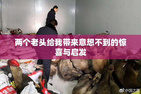 两个老头给我带来意想不到的惊喜与启发
