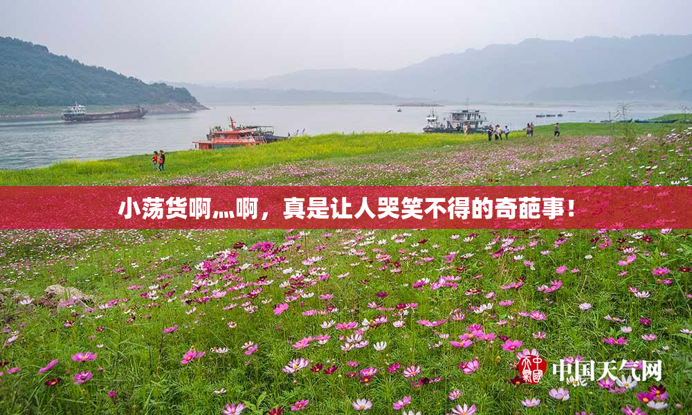 小荡货啊灬啊，真是让人哭笑不得的奇葩事！
