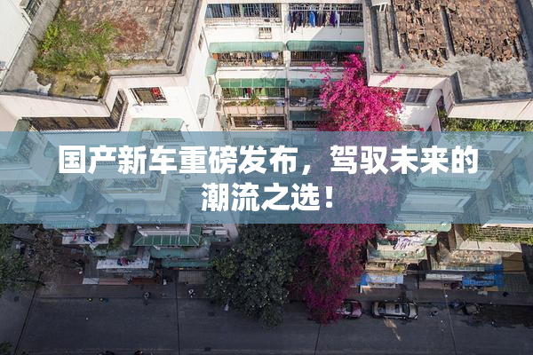 国产新车重磅发布，驾驭未来的潮流之选！