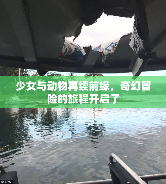 少女与动物再续前缘，奇幻冒险的旅程开启了