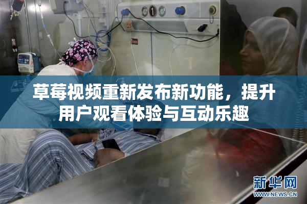 草莓视频重新发布新功能，提升用户观看体验与互动乐趣