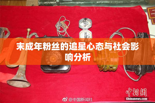 末成年粉丝的追星心态与社会影响分析