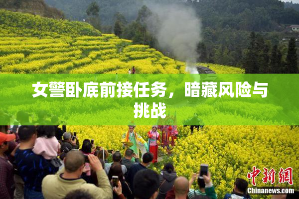 女警卧底前接任务，暗藏风险与挑战