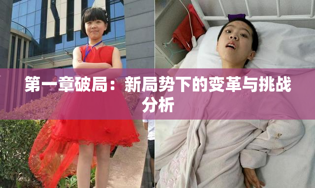 第一章破局：新局势下的变革与挑战分析