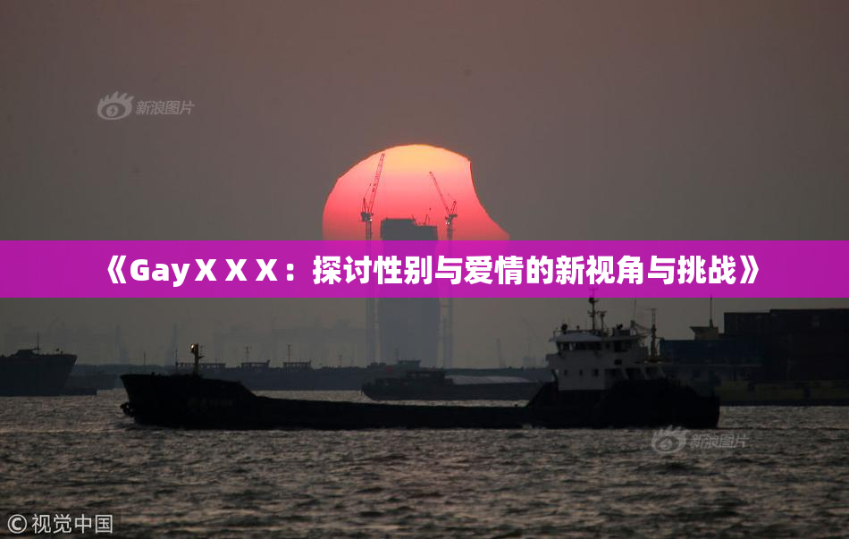 《GayⅩⅩⅩ：探讨性别与爱情的新视角与挑战》