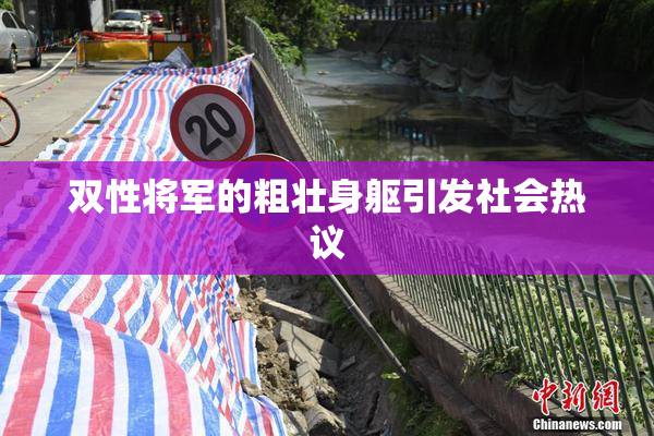双性将军的粗壮身躯引发社会热议