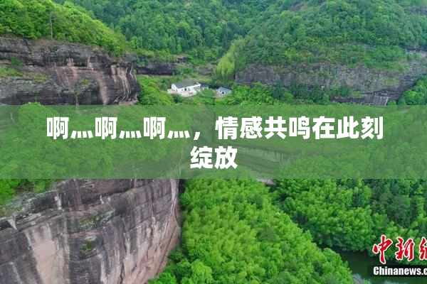 啊灬啊灬啊灬，情感共鸣在此刻绽放