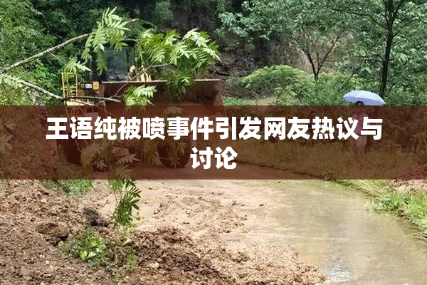 王语纯被喷事件引发网友热议与讨论