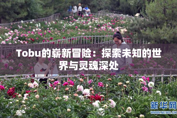 Tobu的崭新冒险：探索未知的世界与灵魂深处
