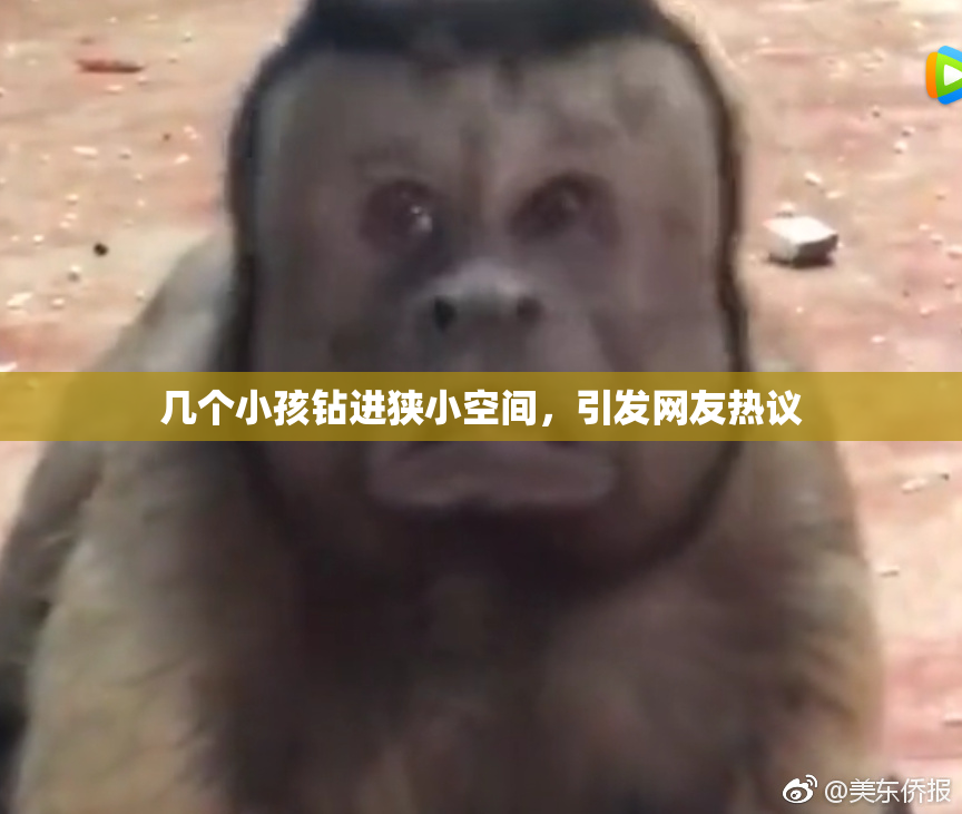 几个小孩钻进狭小空间，引发网友热议