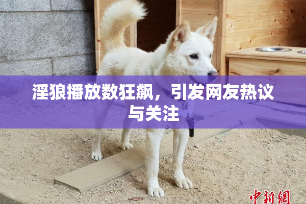 淫狼播放数狂飙，引发网友热议与关注