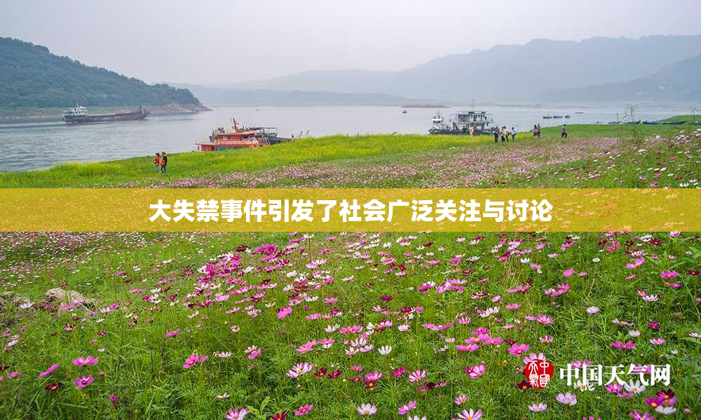 大失禁事件引发了社会广泛关注与讨论