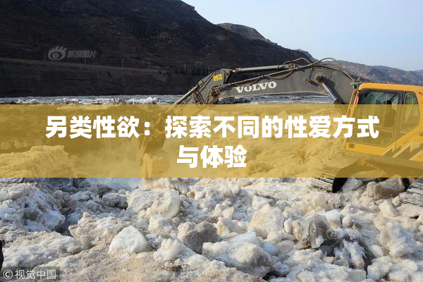 另类性欲：探索不同的性爱方式与体验