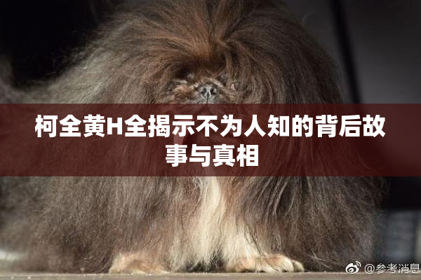 柯全黄H全揭示不为人知的背后故事与真相