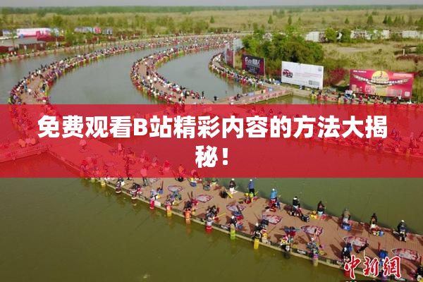 免费观看B站精彩内容的方法大揭秘！