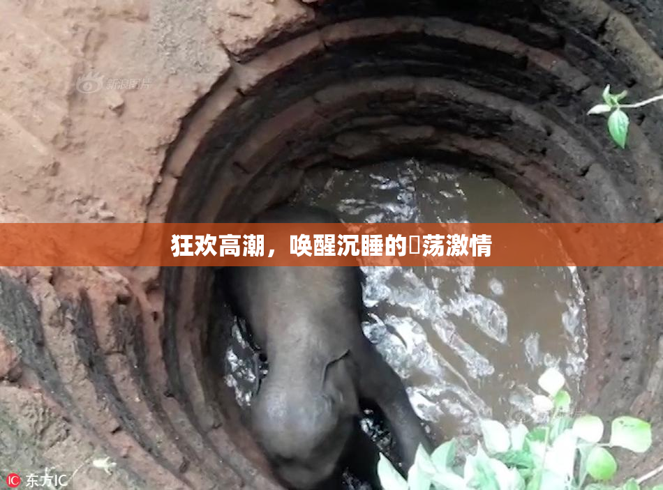 狂欢高潮，唤醒沉睡的婬荡激情