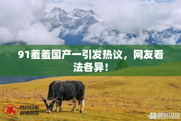 91羞羞国产一引发热议，网友看法各异！