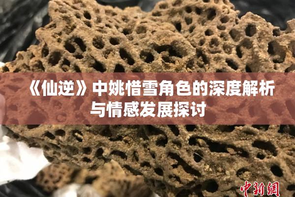 《仙逆》中姚惜雪角色的深度解析与情感发展探讨