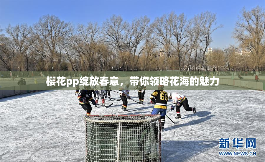 樱花pp绽放春意，带你领略花海的魅力