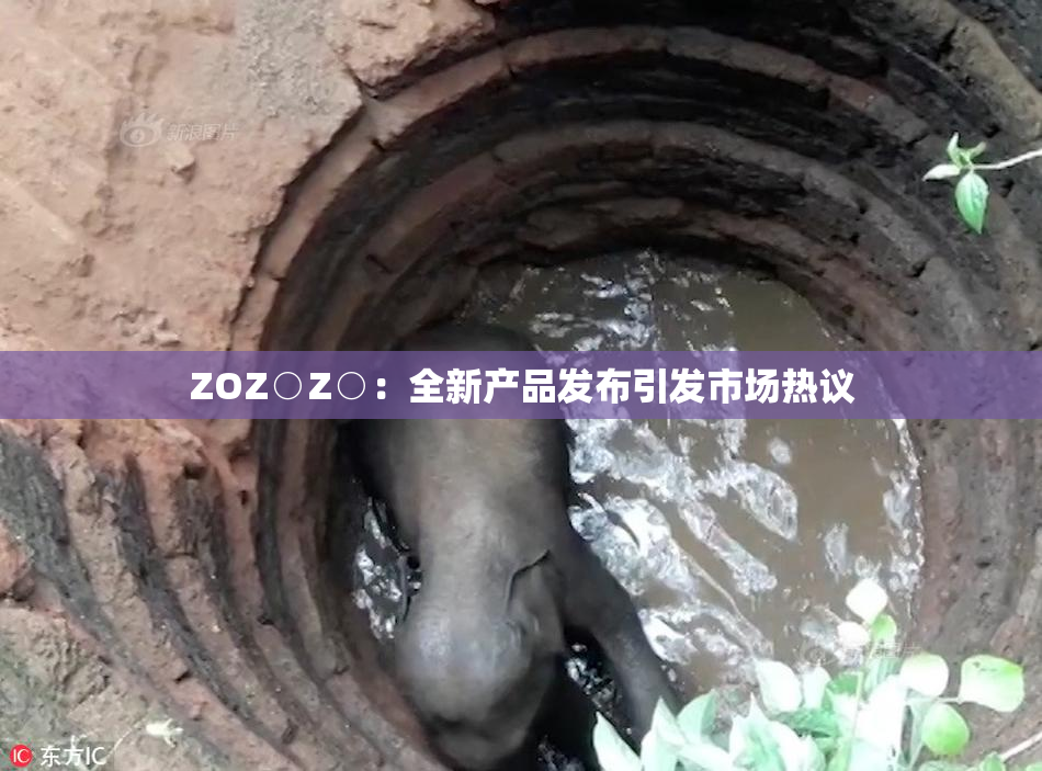 ZOZ○Z○：全新产品发布引发市场热议