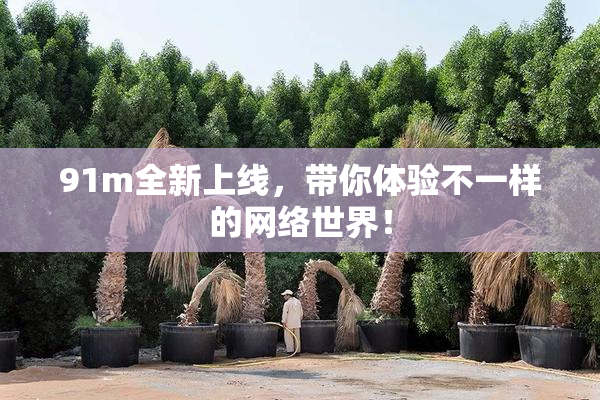 91m全新上线，带你体验不一样的网络世界！