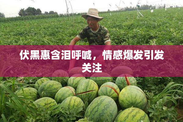 伏黑惠含泪呼喊，情感爆发引发关注