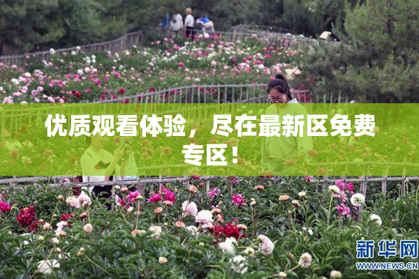 优质观看体验，尽在最新区免费专区！