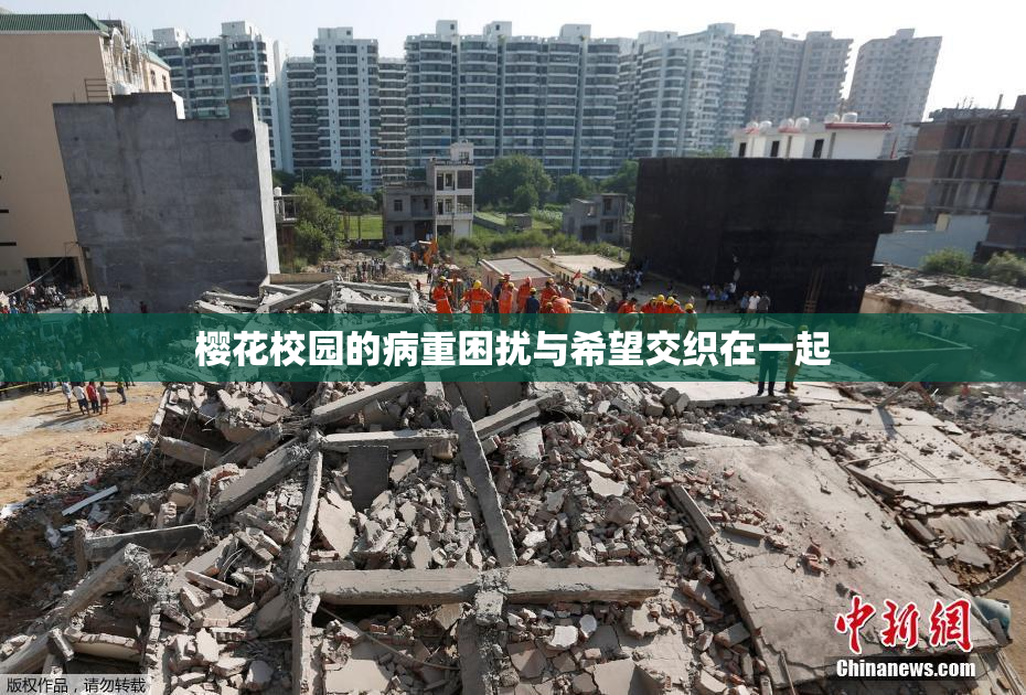 樱花校园的病重困扰与希望交织在一起