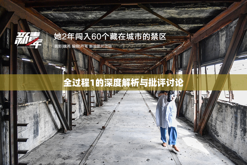 全过程1的深度解析与批评讨论