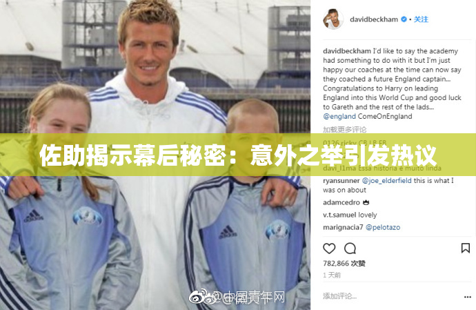 佐助揭示幕后秘密：意外之举引发热议