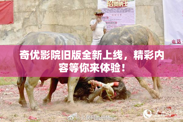 奇优影院旧版全新上线，精彩内容等你来体验！