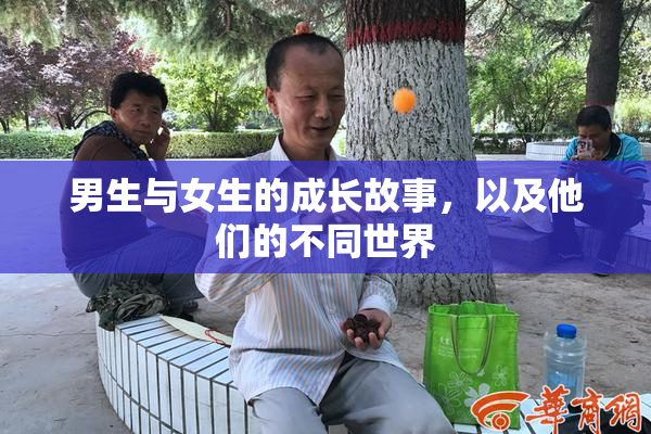 男生与女生的成长故事，以及他们的不同世界