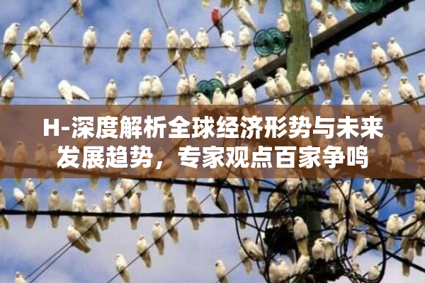 H-深度解析全球经济形势与未来发展趋势，专家观点百家争鸣