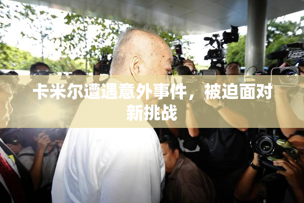 卡米尔遭遇意外事件，被迫面对新挑战