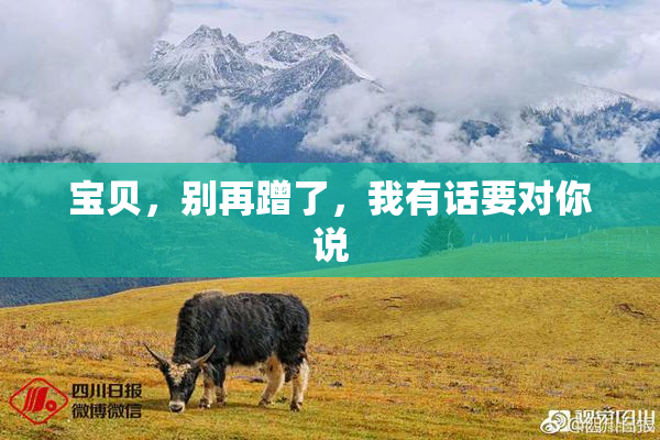 宝贝，别再蹭了，我有话要对你说
