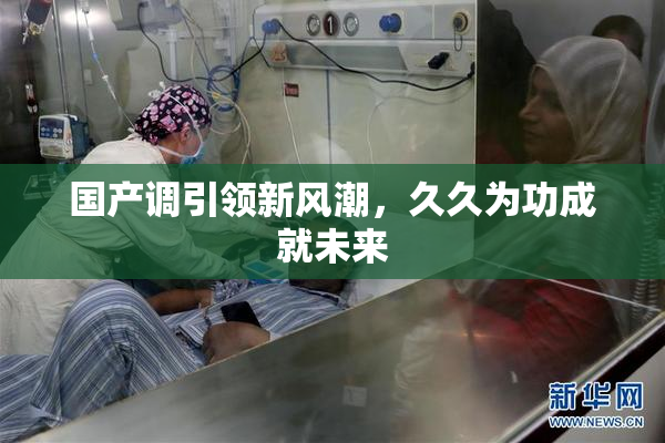 国产调引领新风潮，久久为功成就未来