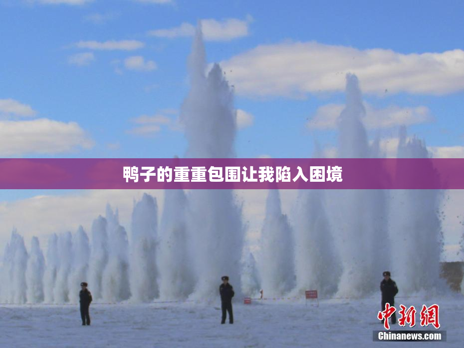 鸭子的重重包围让我陷入困境